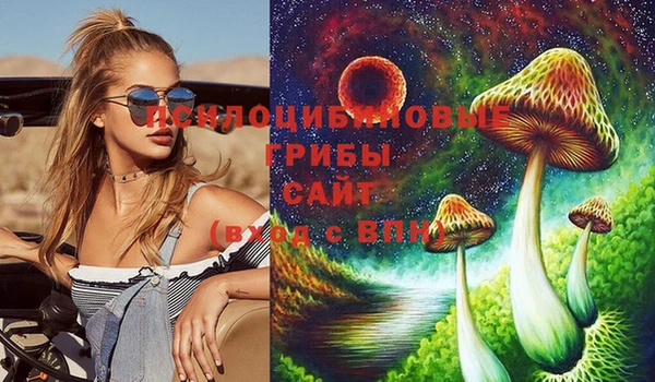 хмурый Абинск