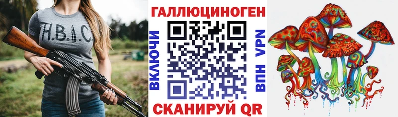 KRAKEN   Иноземцево  Псилоцибиновые грибы Cubensis 